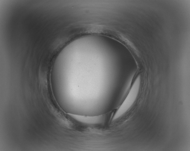 X0000083010681200702091251