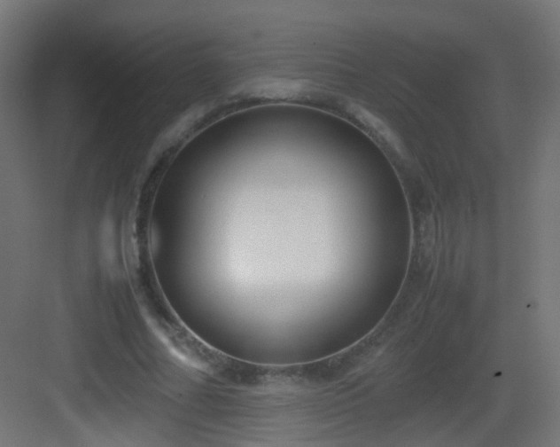 X0000083010682200702091251