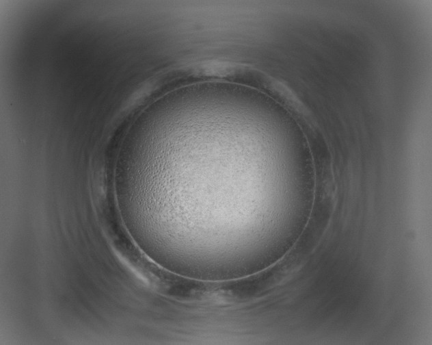 X0000083010683200702091251