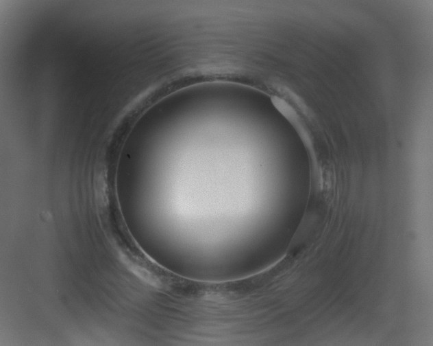 X0000083010684200702091251