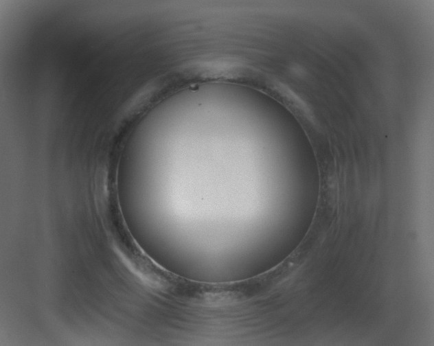 X0000083010686200702091251