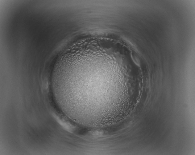 X0000083010687200702091251