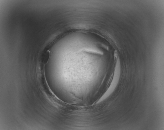 X0000083010688200702091251