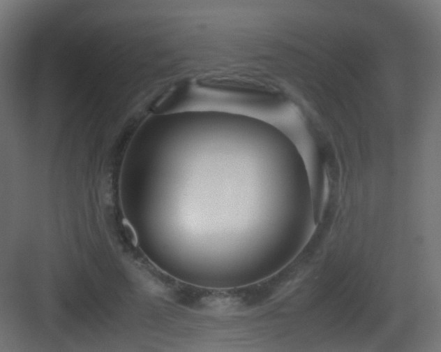 X0000083010689200702091251