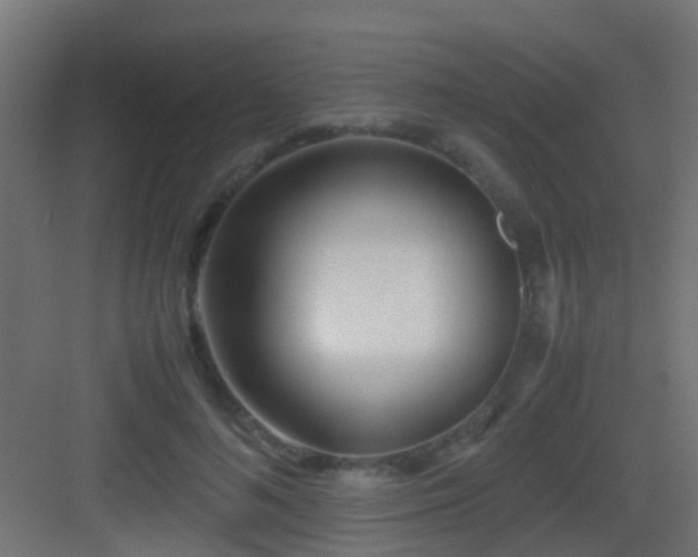 X0000083010692200702091251