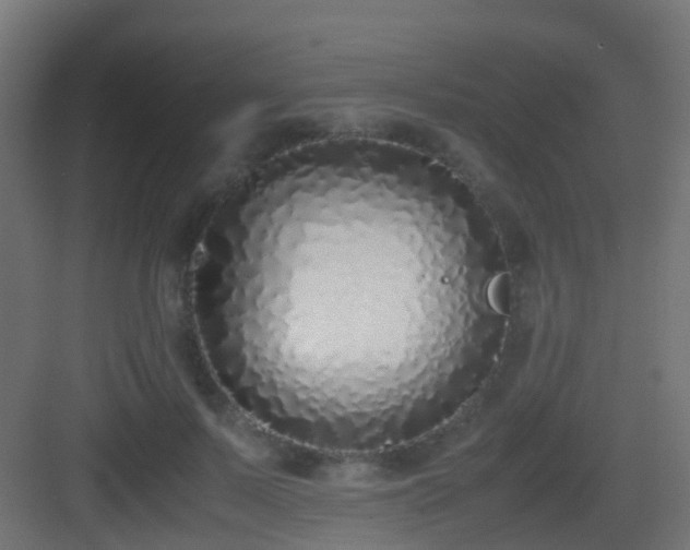 X0000083010695200702091251