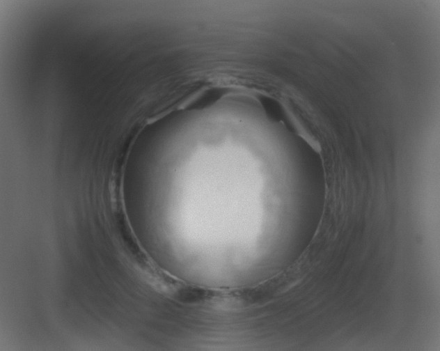 X0000083010696200702091251