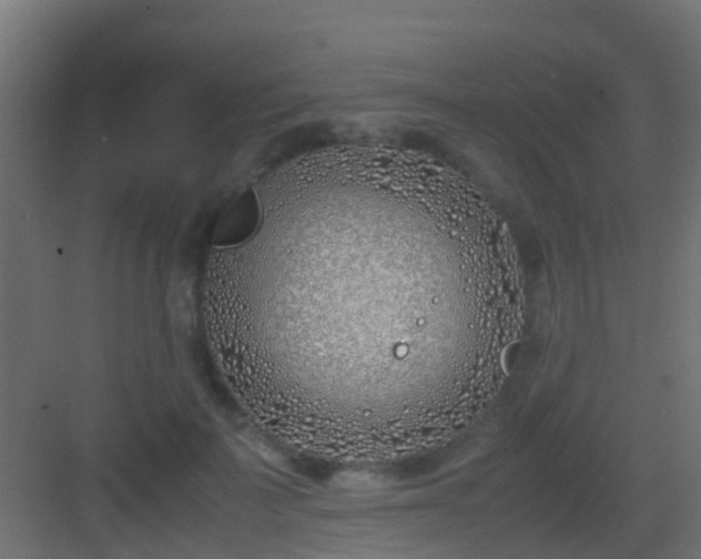 X0000083010699200702091251