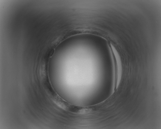 X0000083010700200702091251