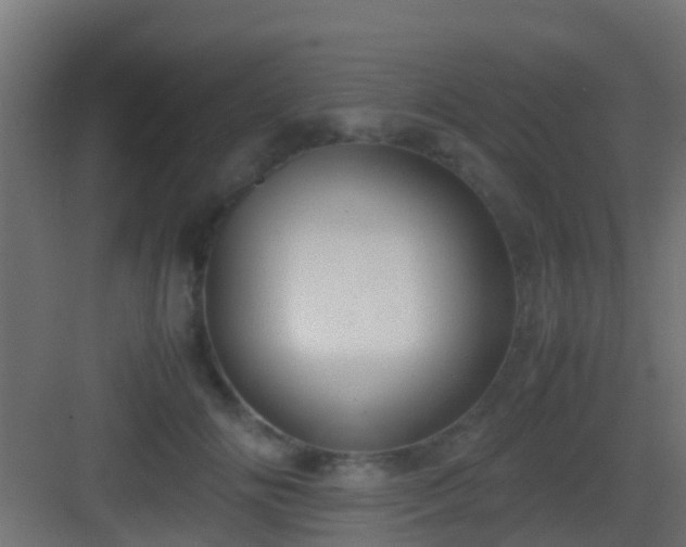 X0000083010702200702091251