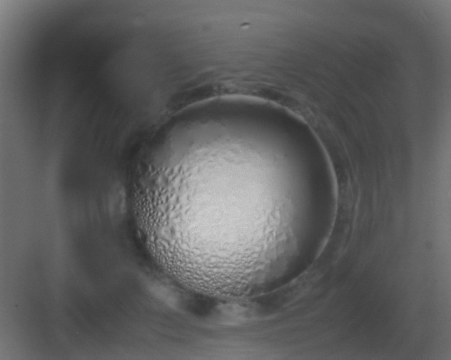 X0000083010703200702091251