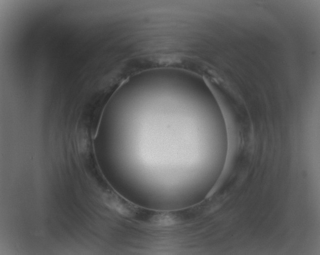 X0000083010704200702091251