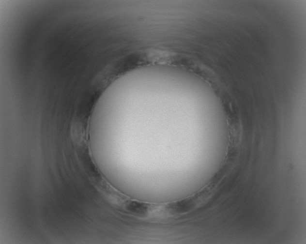 X0000083010705200702091251