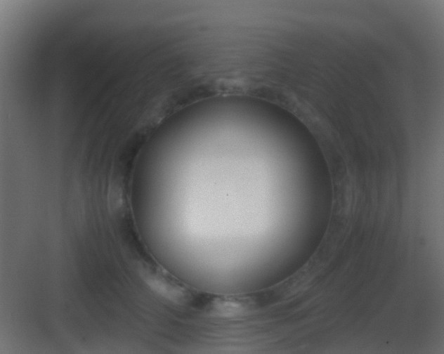 X0000083010706200702091251