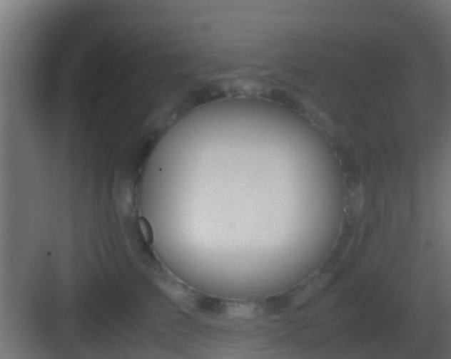 X0000083010709200702091251