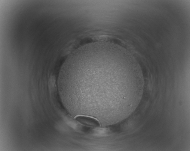 X0000083010711200702091251