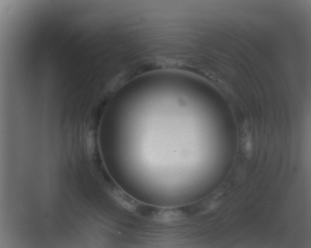 X0000083010716200702091250