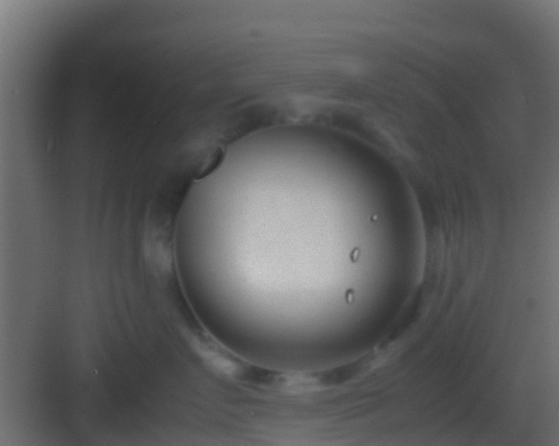 X0000083010719200702091250