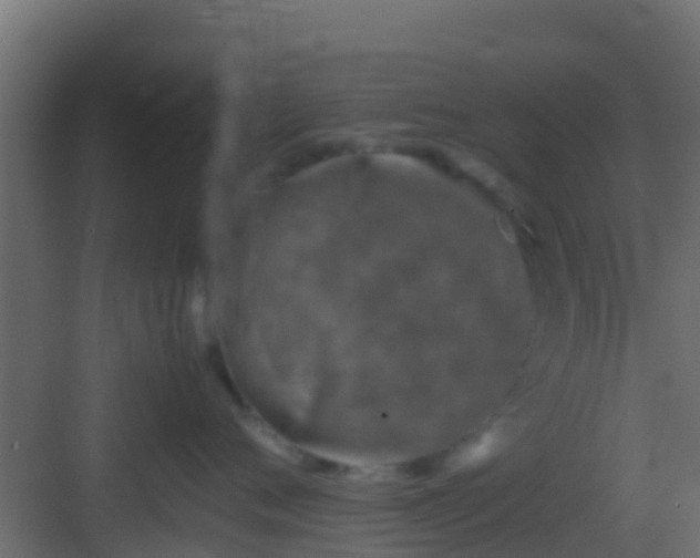 X0000083010720200702091250