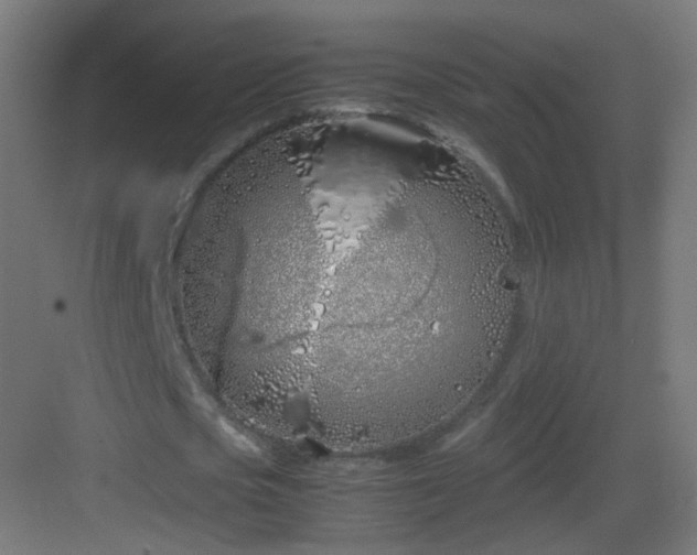 X0000083010721200702091250