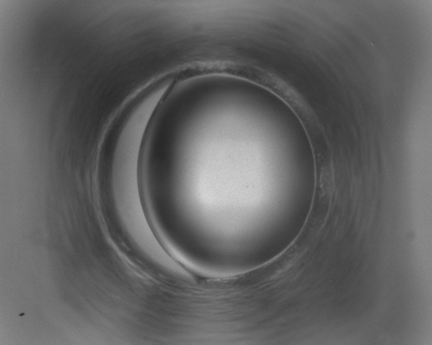 X0000083010722200702091250