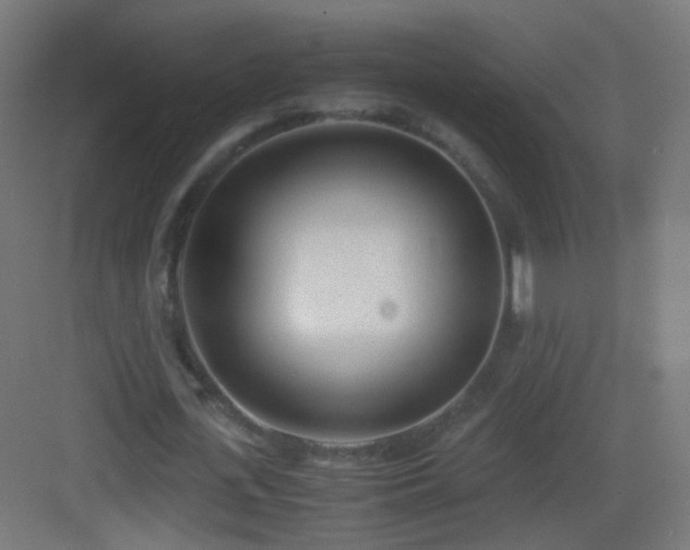 X0000083010723200702091250