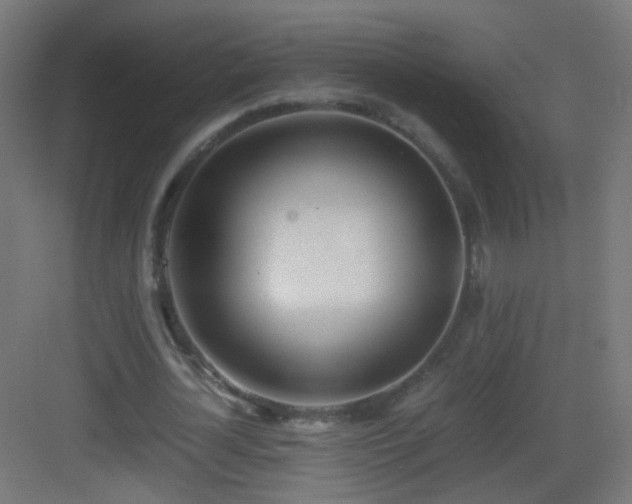 X0000083010724200702091250