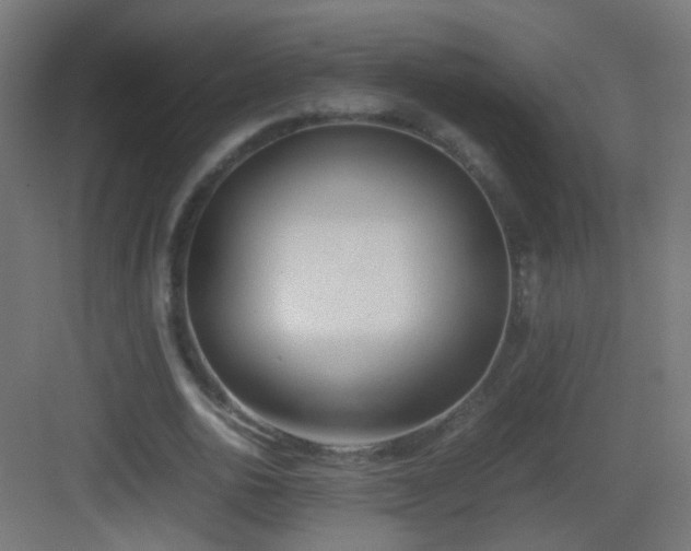 X0000083010726200702091250