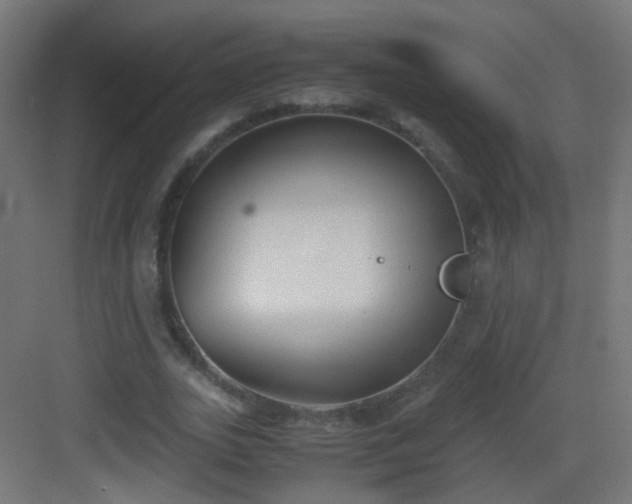 X0000083010727200702091250