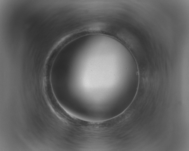 X0000083010728200702091250