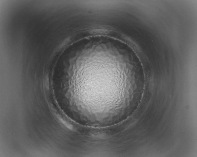 X0000083010729200702091250