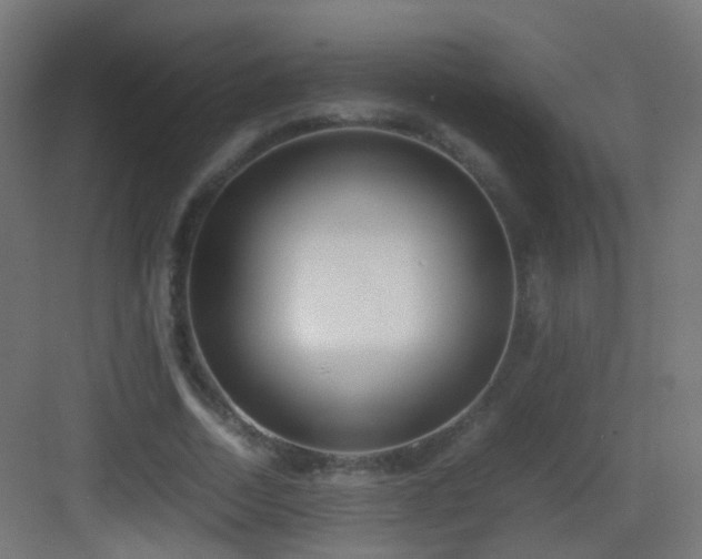 X0000083010730200702091250