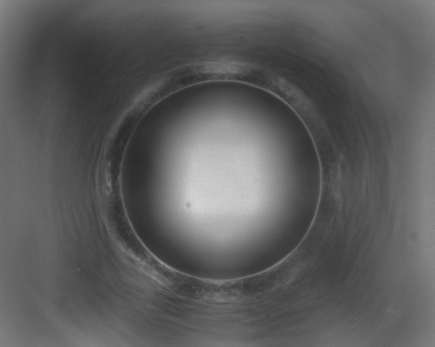 X0000083010731200702091250