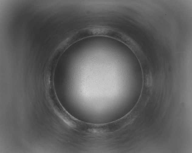 X0000083010733200702091250