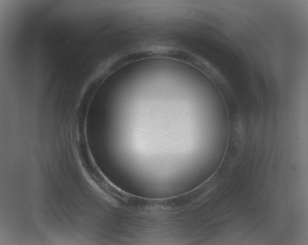 X0000083010734200702091250