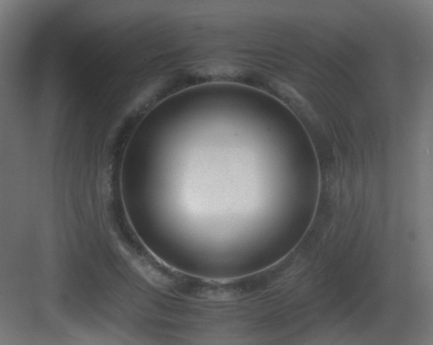 X0000083010735200702091250