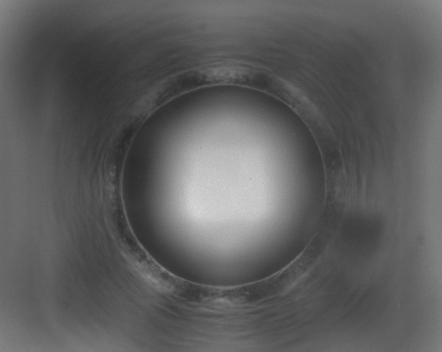 X0000083010737200702091250