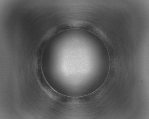 X0000083010738200702091250