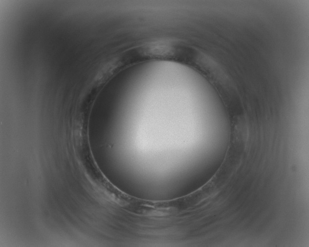 X0000083010739200702091250