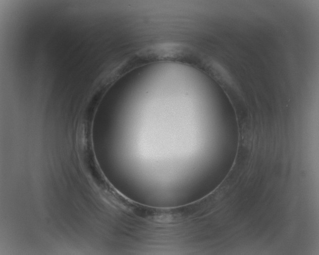 X0000083010740200702091250