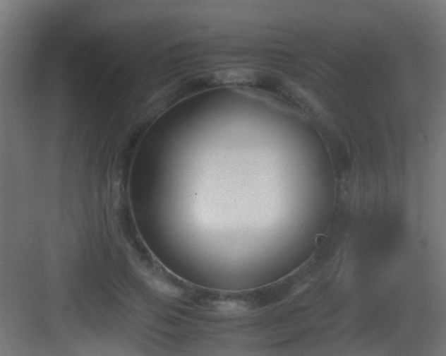 X0000083010741200702091250