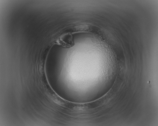 X0000083010745200702091250