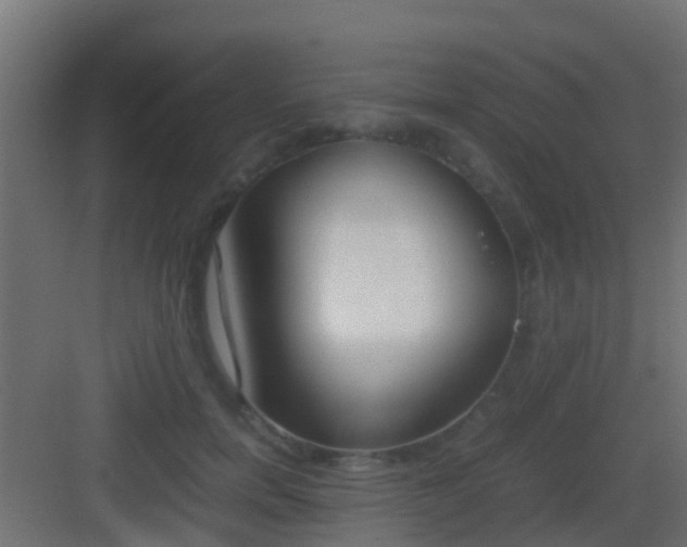 X0000083010750200702091250