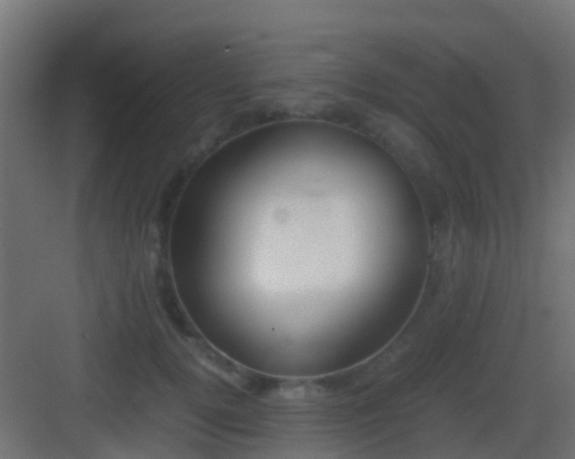 X0000083010752200702091250