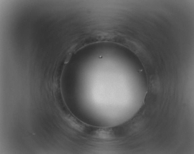 X0000083010756200702091250