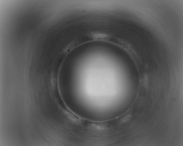 X0000083010763200702091250