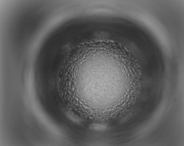 X0000083010765200702091250