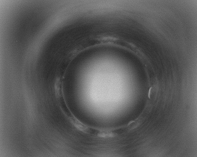 X0000083010767200702091250