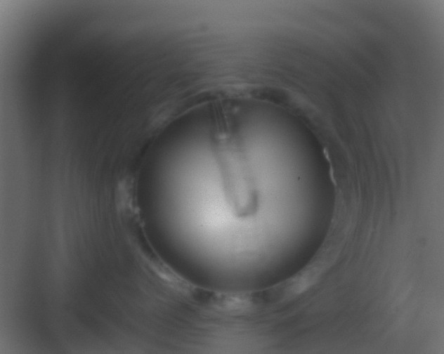 X0000083010768200702091250