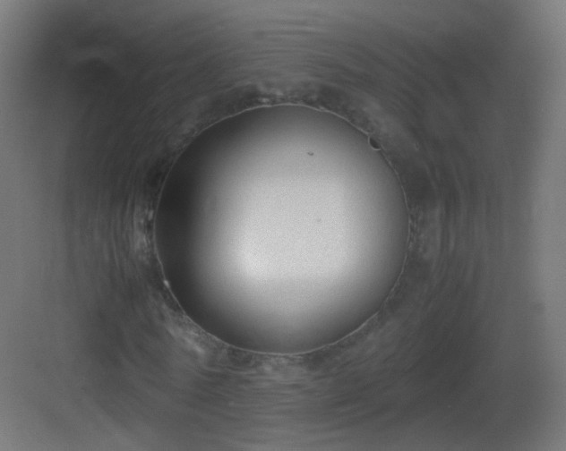 X0000083010770200702091250